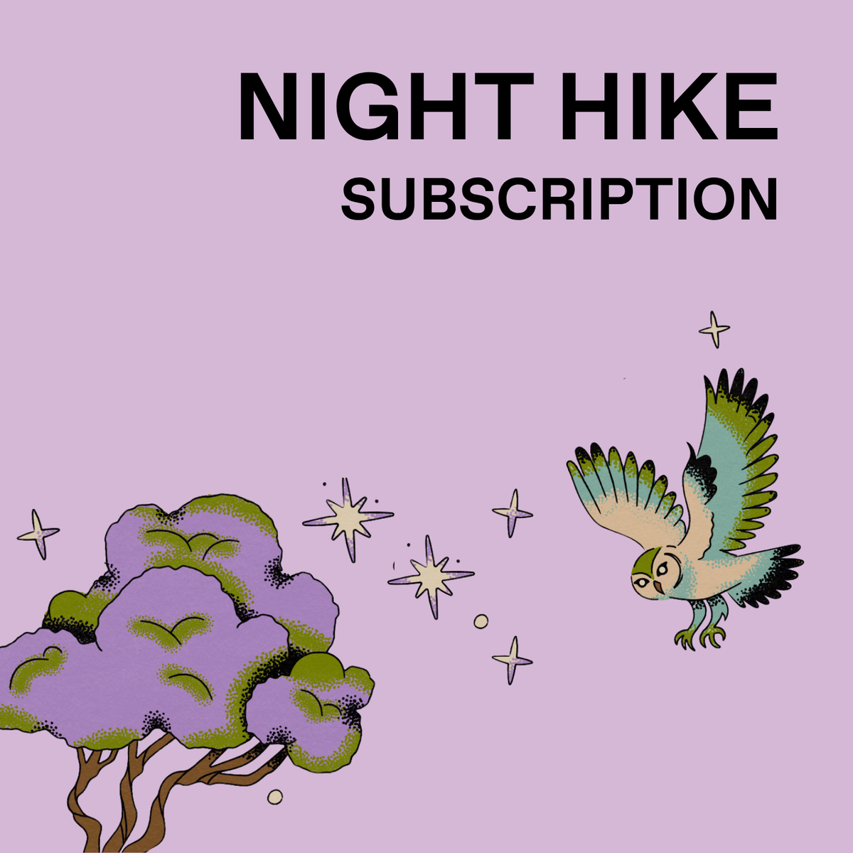 Night Hike